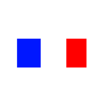 RS Raikkonen's emblem