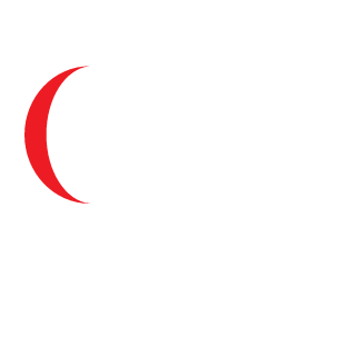 FearlessLion78's emblem