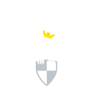 ZincStorm's emblem
