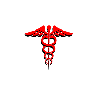 S1R000's emblem