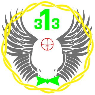 SchittyIceSplash's emblem