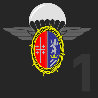 BlueBoot99's emblem