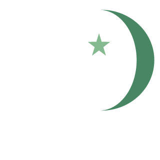 Ismailov95's emblem