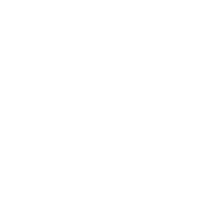 basedsoulja's emblem