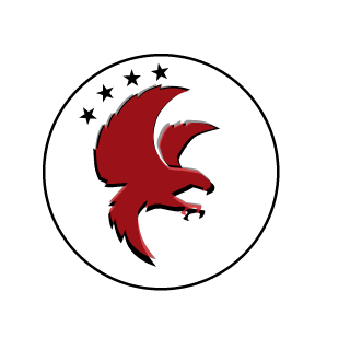 Raynbow Nynja's emblem