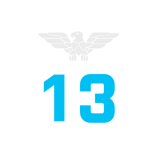 Dron4ik1703's emblem