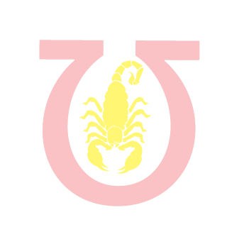 222Rocky's emblem