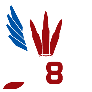 DannyThePepsi's emblem