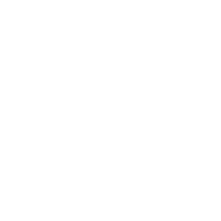 d4nstout's emblem