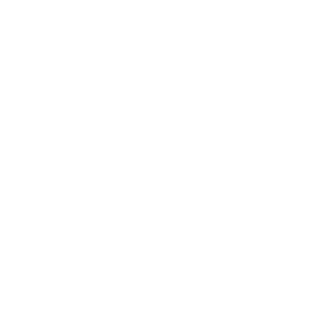 Bigwizzie's emblem
