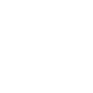 chnxiao's emblem
