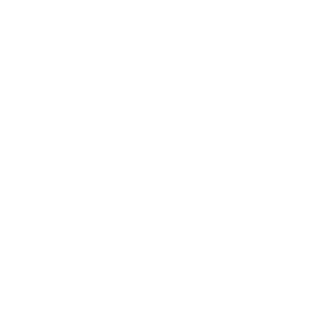 nubasula's emblem