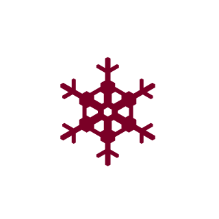 Netsve1's emblem