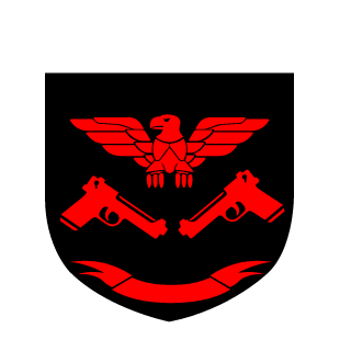 1Kriegsfalke1's emblem
