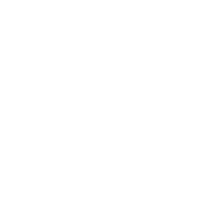alleagator's emblem