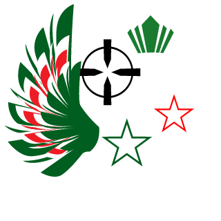 Wolf95955's emblem