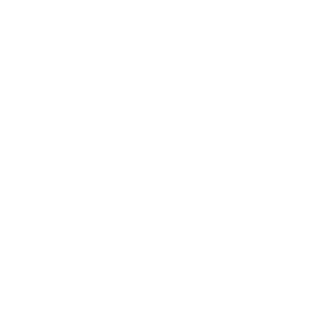 91TangxinVLOGVIP's emblem