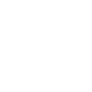 webdvlop's emblem