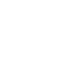 DJ_Nertro's emblem