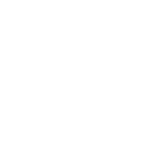 e4868ee5ab546a04's emblem