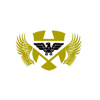 Rubik51's emblem