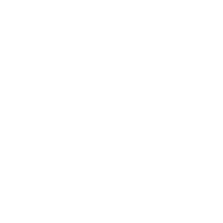 envisi0n7's emblem