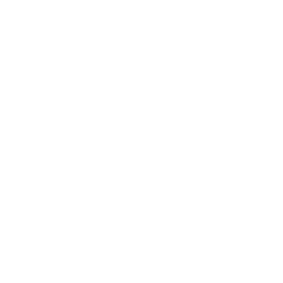 Gogla1990's emblem