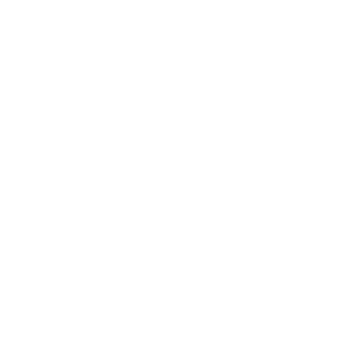 BLFX10's emblem