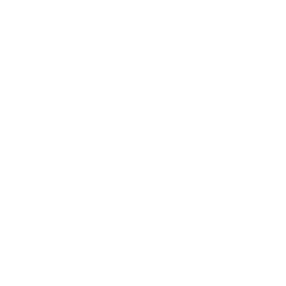 9xNexus's emblem