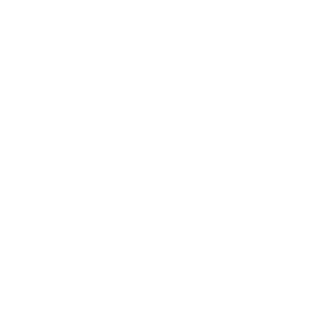 platonnnn's emblem
