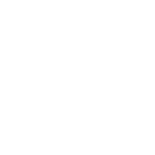 Mr_Danya10's emblem