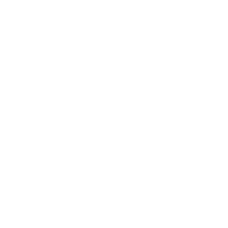 03Viking's emblem