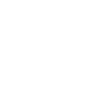 Steve98rus's emblem