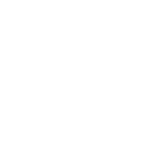 CN_Assault's emblem