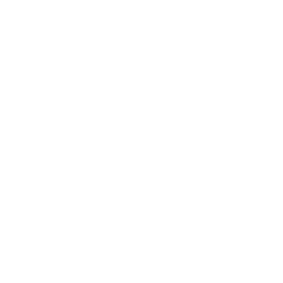 TurboNilee's emblem