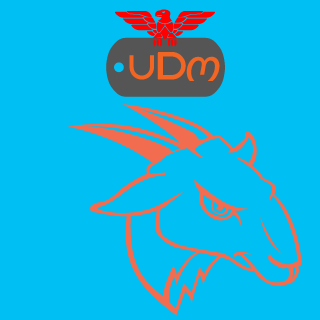 do_you_have_flag's emblem