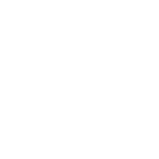 0megoman0's emblem