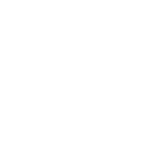 BlPlN's emblem