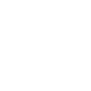 A2_Discharger's emblem