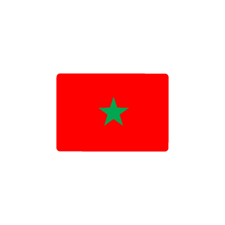 H4ytham01's emblem