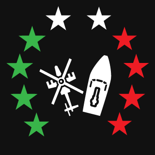 TEO-NVIDIA's emblem
