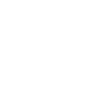 RedFlash98's emblem