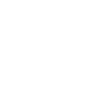 ZaxT4's emblem