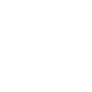 Vlados071169's emblem