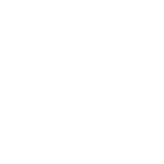 ZeroCyniX's emblem