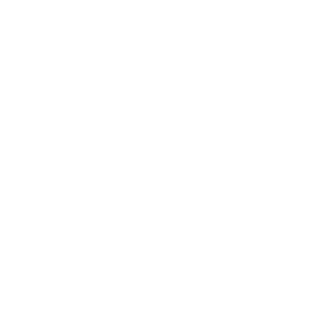 thepoligons_tes's emblem
