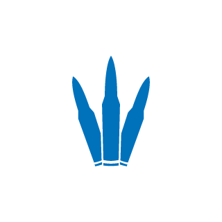 buschi19's emblem