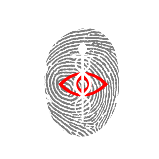 Nanosis64's emblem