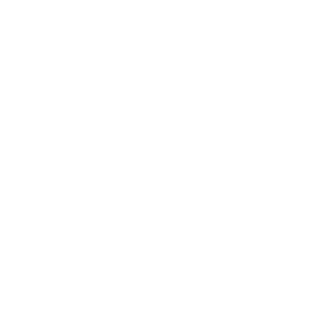 Briziguini's emblem