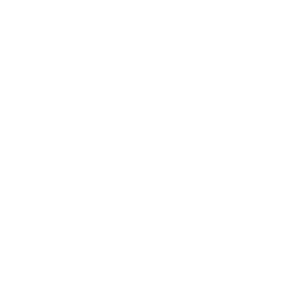 Novisman's emblem